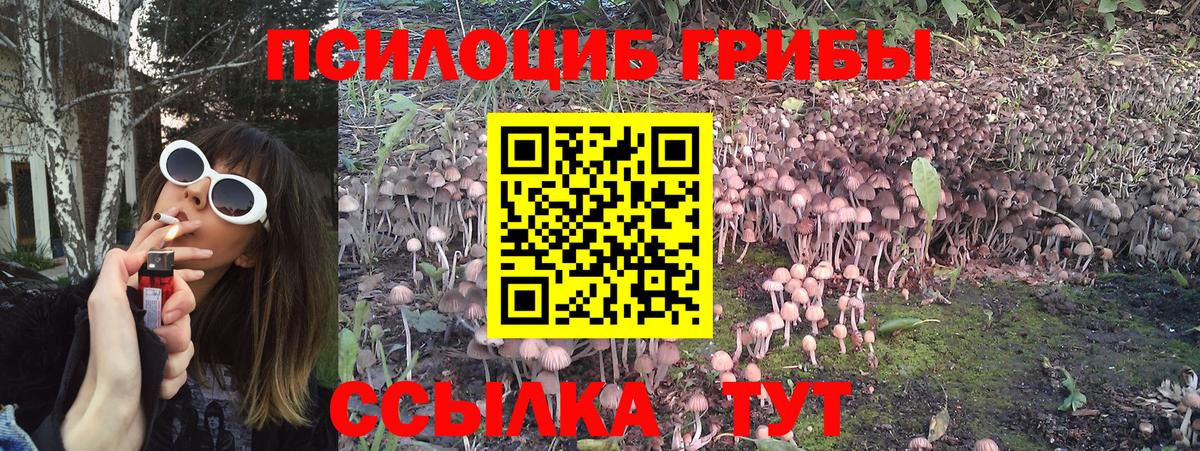 купить наркотики цена  Галлюциногенные грибы GOLDEN TEACHER  Вход с VPN  Керчь 