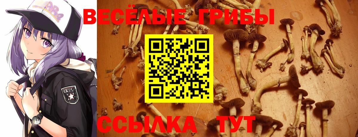 Псилоцибиновые грибы прущие грибы Керчь